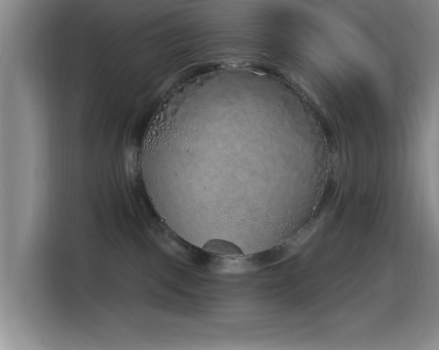 X0000116150093200911231340