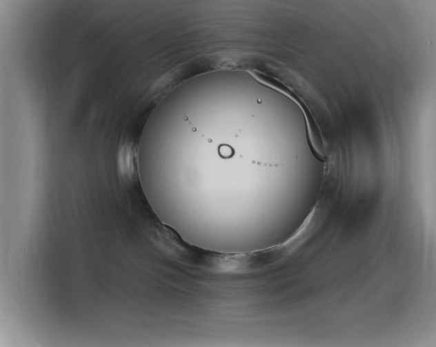 X0000116150094200911231340