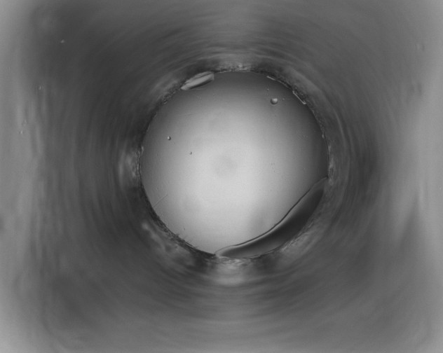 X0000116150096200911231340