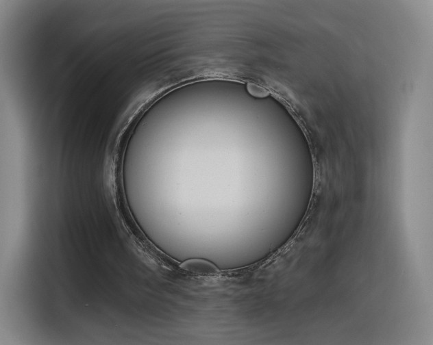 X0000116150098200911231339