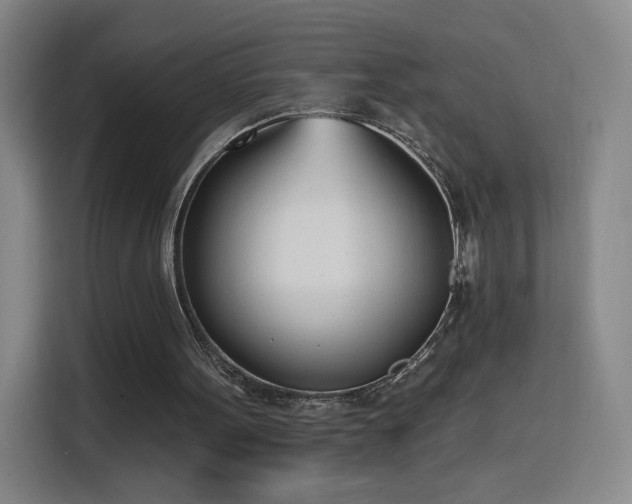 X0000116150099200911231339