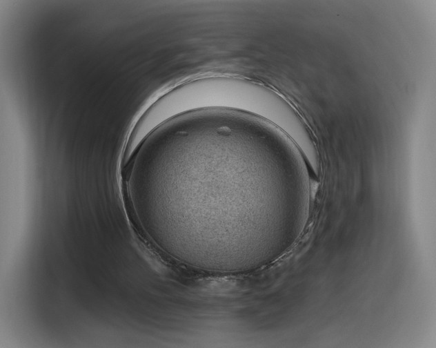 X0000116150100200911231339