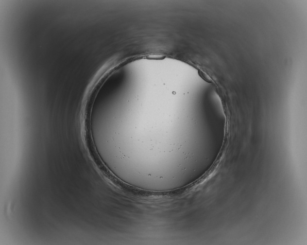 X0000116150101200911231339