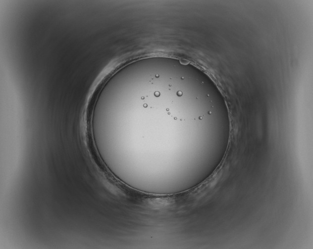 X0000116150102200911231339