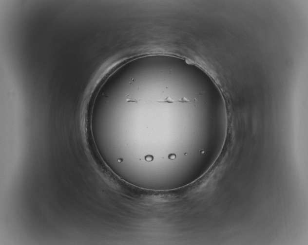 X0000116150103200911231339