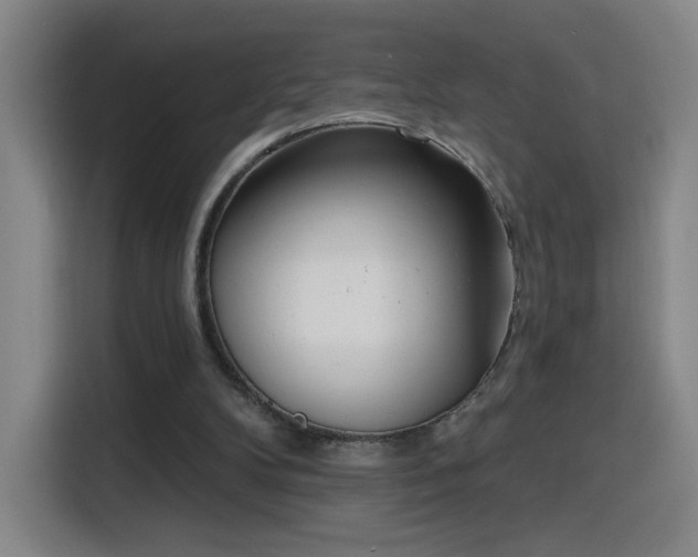 X0000116150104200911231339