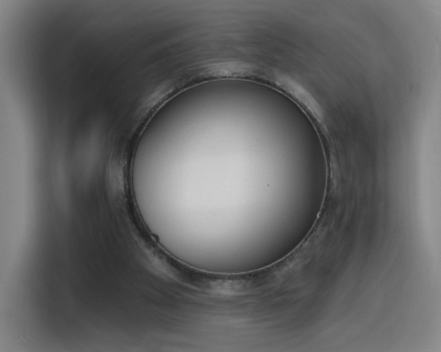 X0000116150105200911231339