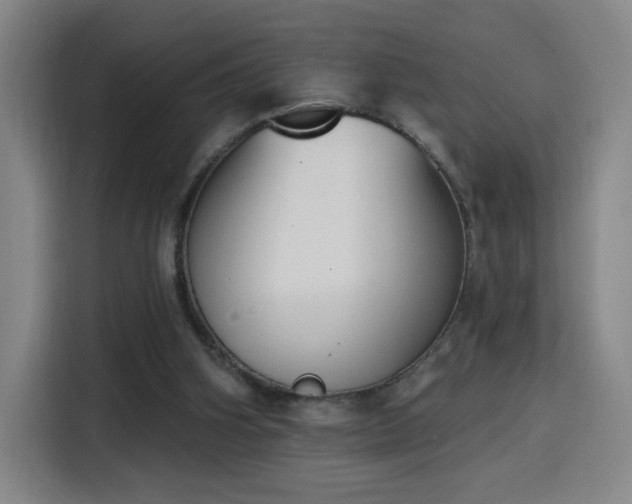 X0000116150106200911231339