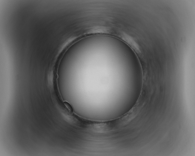 X0000116150108200911231339