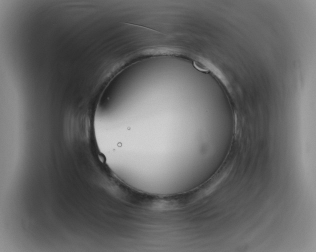 X0000116150109200911231339