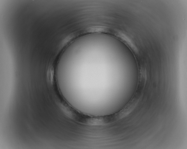 X0000116150110200911231339