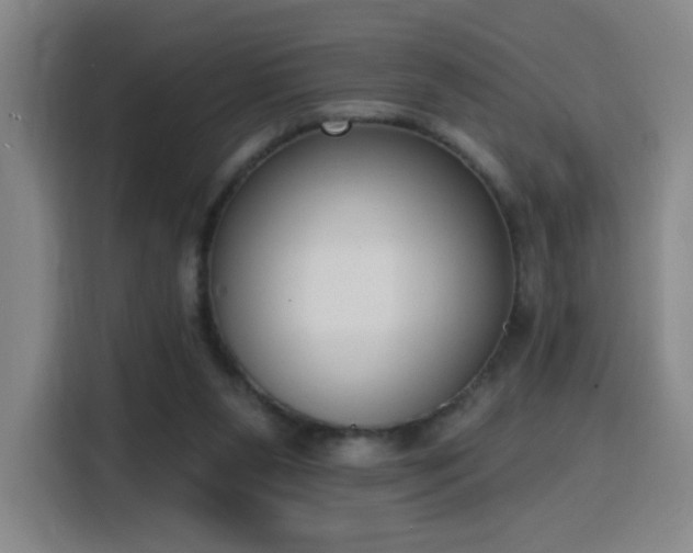 X0000116150111200911231339