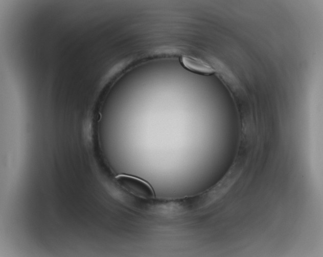 X0000116150112200911231339