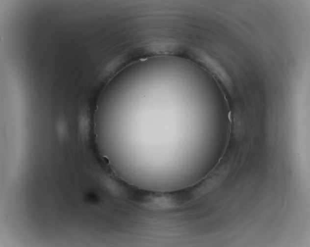 X0000116150113200911231339