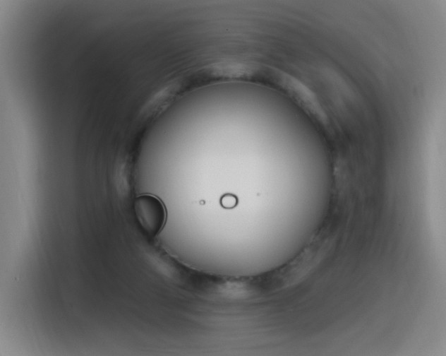 X0000116150114200911231339