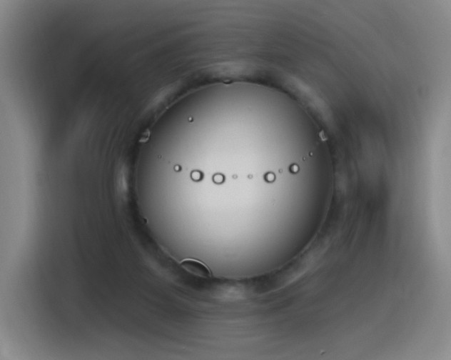 X0000116150115200911231339