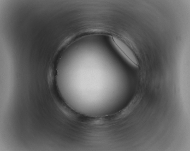 X0000116150116200911231339