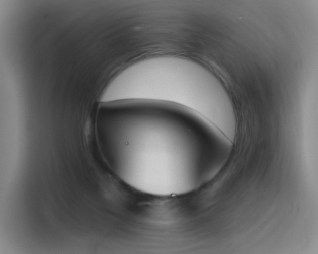 X0000116150117200911231339