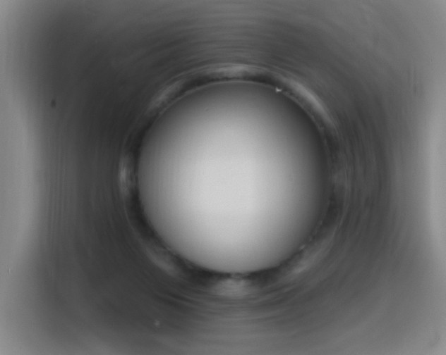 X0000116150119200911231339