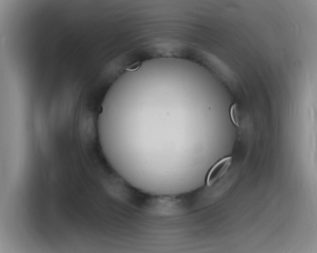 X0000116150121200911231339