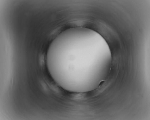 X0000116150122200911231339