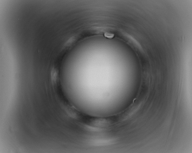 X0000116150123200911231339