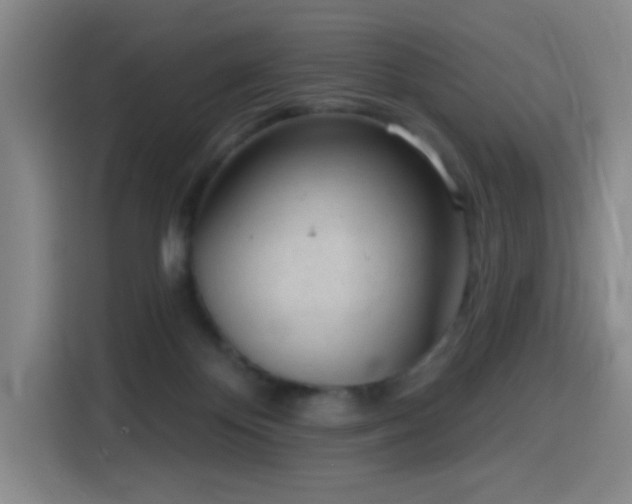 X0000116150124200911231339