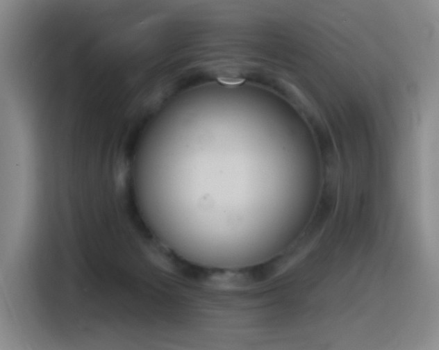 X0000116150125200911231339