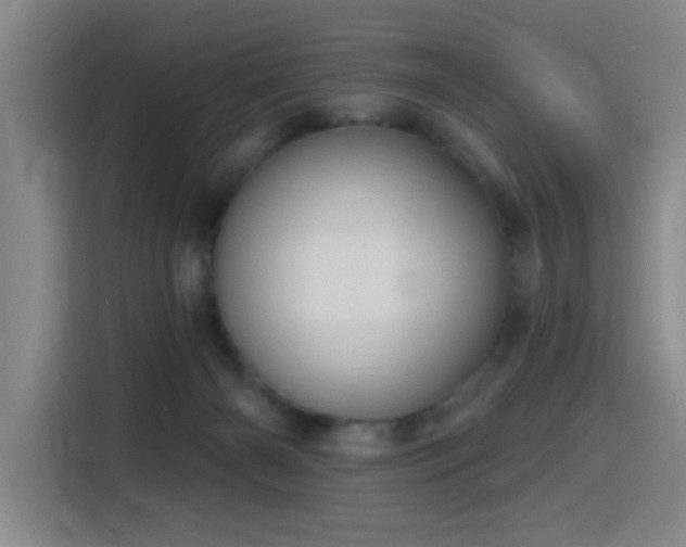 X0000116150126200911231339