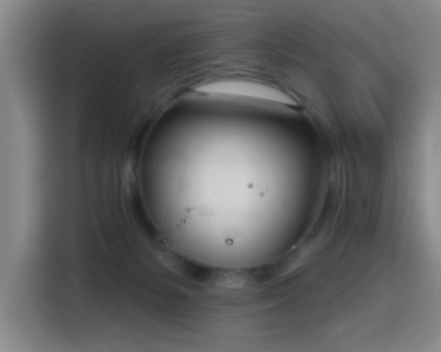 X0000116150127200911231339