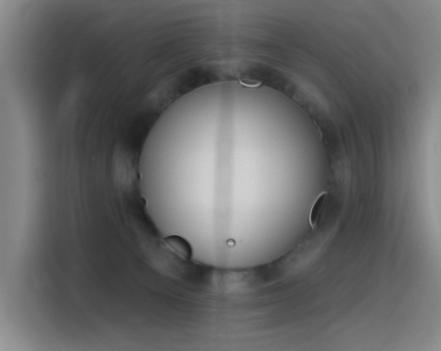 X0000116150129200911231339