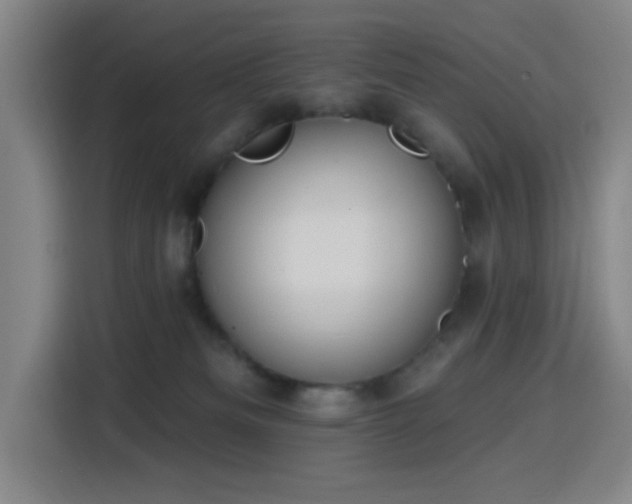 X0000116150133200911231339