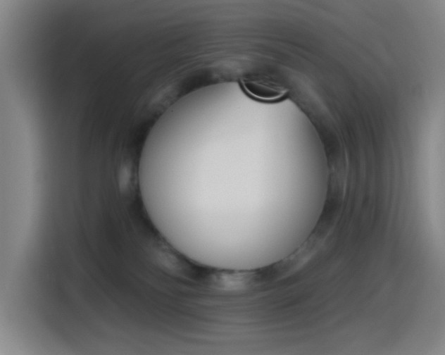 X0000116150134200911231339