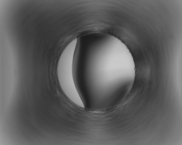 X0000116150137200911231339