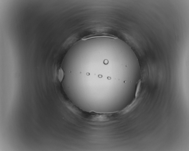 X0000116150140200911231339