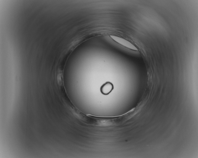 X0000116150141200911231339