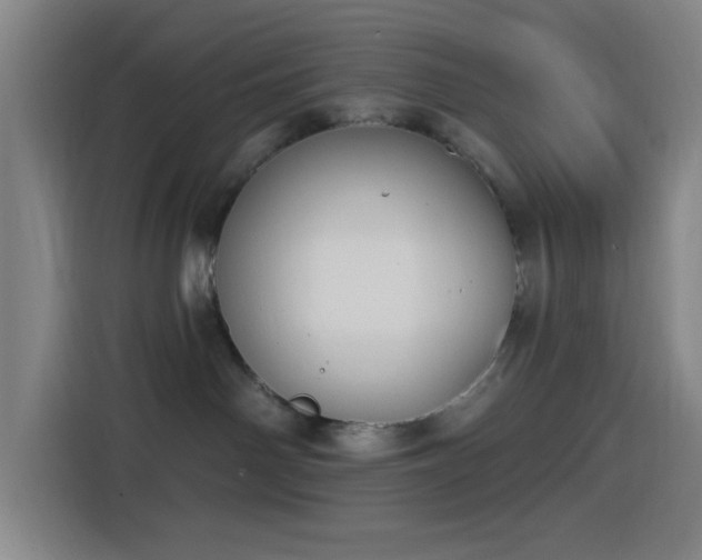 X0000116150142200911231339