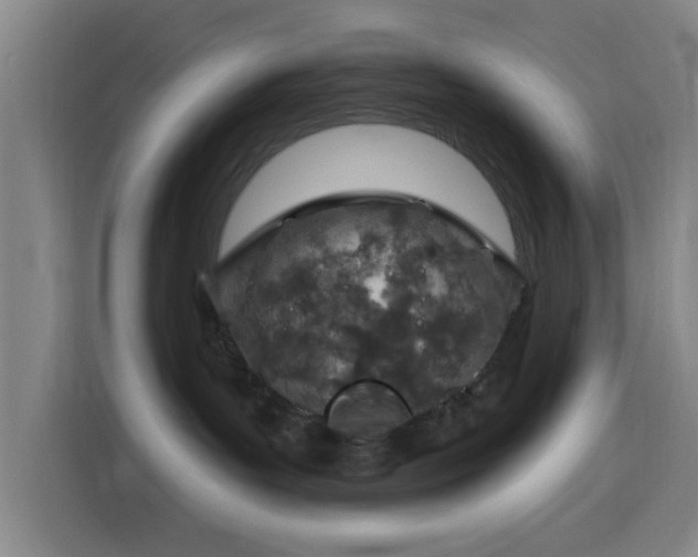 X0000116150143200911231339