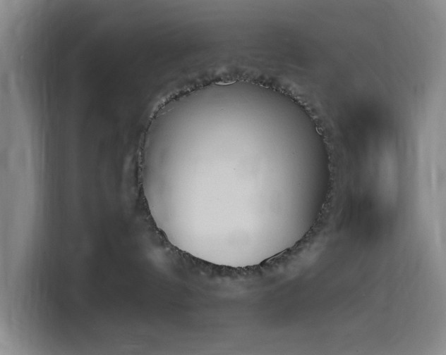 X0000116150144200911231339