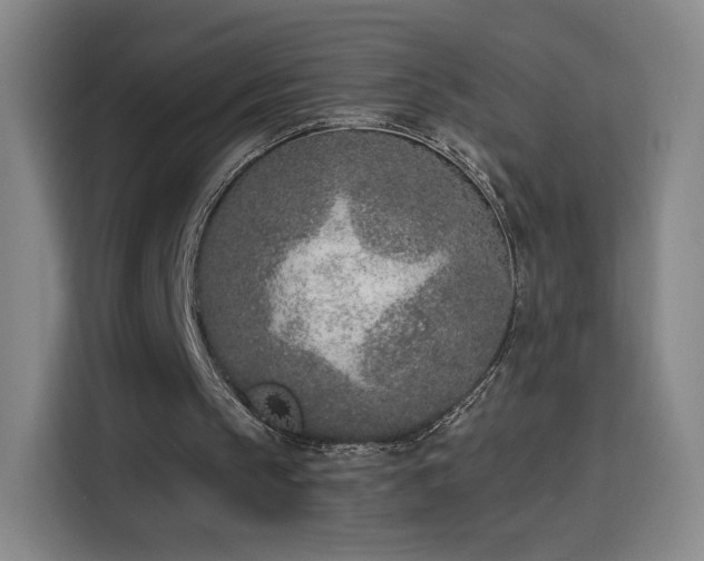 X0000116150145200911231338