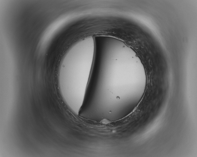 X0000116150146200911231338