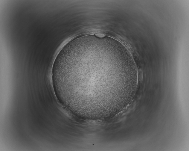 X0000116150147200911231338