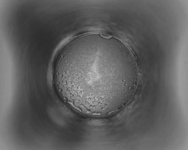 X0000116150149200911231338