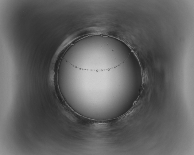 X0000116150150200911231338