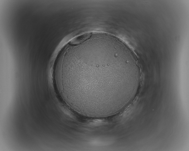 X0000116150151200911231338