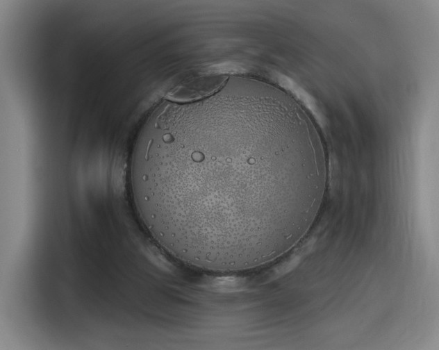 X0000116150153200911231338