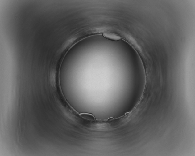 X0000116150154200911231338