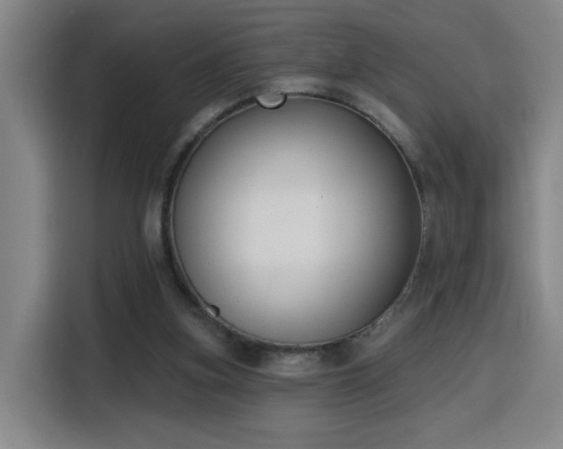 X0000116150155200911231338