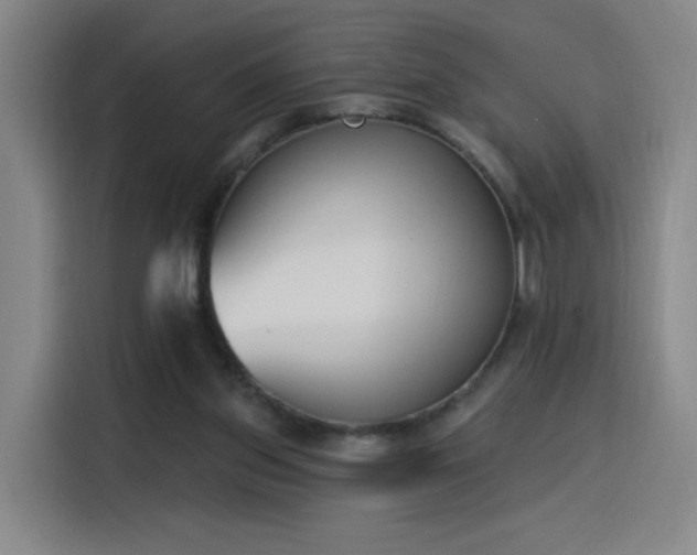 X0000116150157200911231338