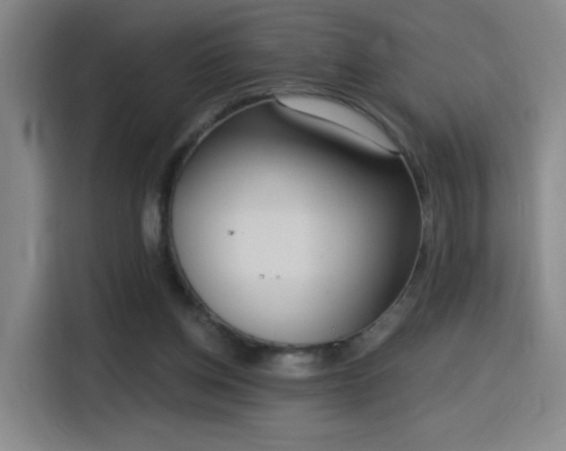 X0000116150158200911231338